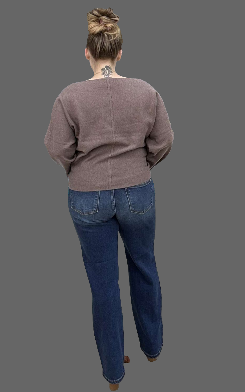 Reg/Plus Judy Blue "Side Seam Detail" Straight