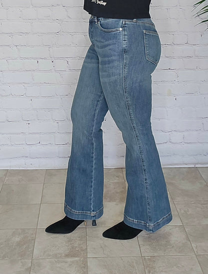 Judy Blue Petite Tummy Control Flare