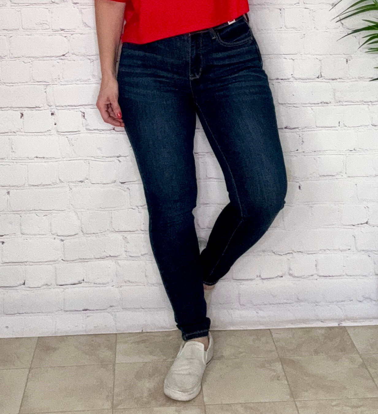 Judy Blue Indigo Wash Skinny