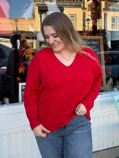 Reg/Plus Red V-Neck Knit Sweater