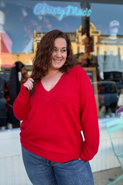 Reg/Plus Red V-Neck Knit Sweater