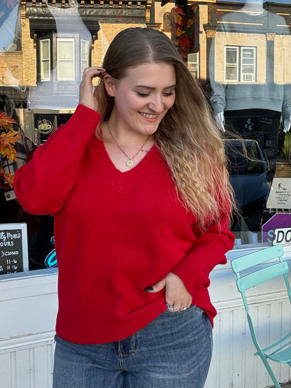 Reg/Plus Red V-Neck Knit Sweater