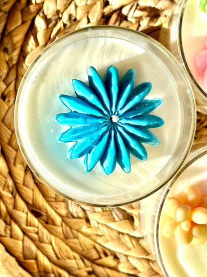 Succulent Terrarium Soy Candle 