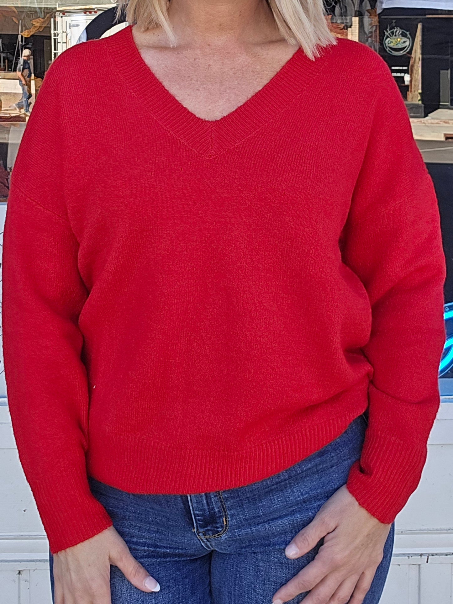 Reg/Plus Red V-Neck Knit Sweater